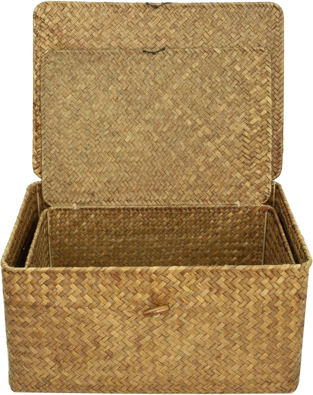 2-Pack Wicker Storage Baskets with Lid, Coffee Large & X-Large Rectangula...