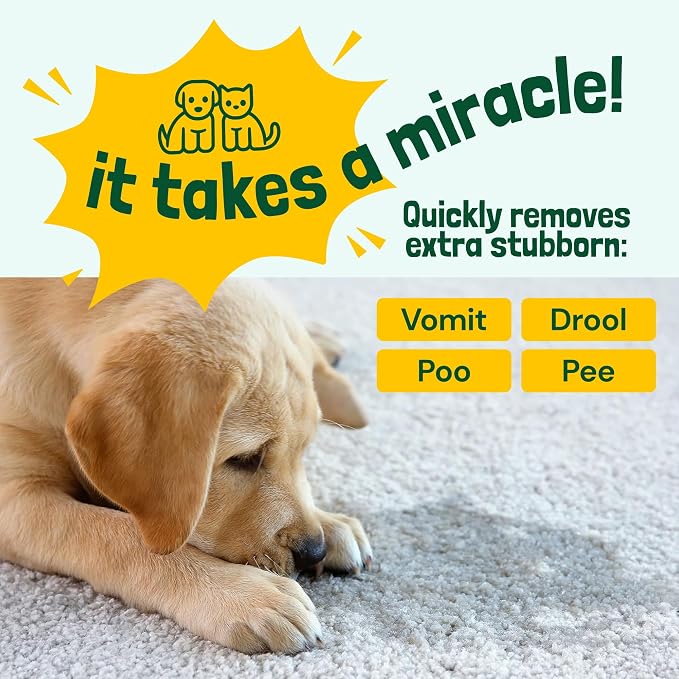 Sunny & Honey Pet Stain & Odor Miracle - Image 3