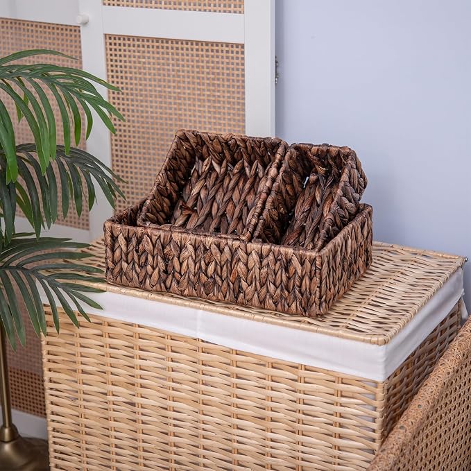 Handwoven Wicker Storage Baskets Set, Natural water hyacinth & Iron Frame | - Image 2