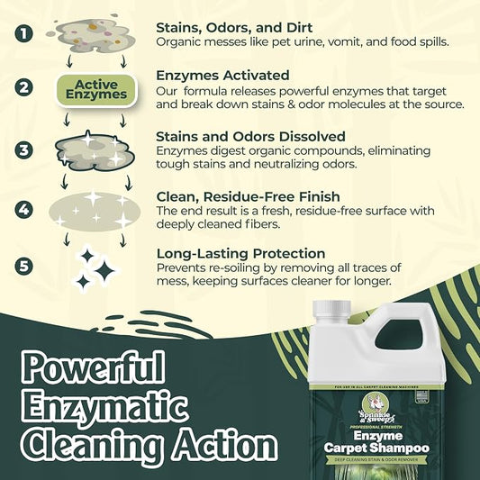 Enzyme Carpet Cleaner - Image 2