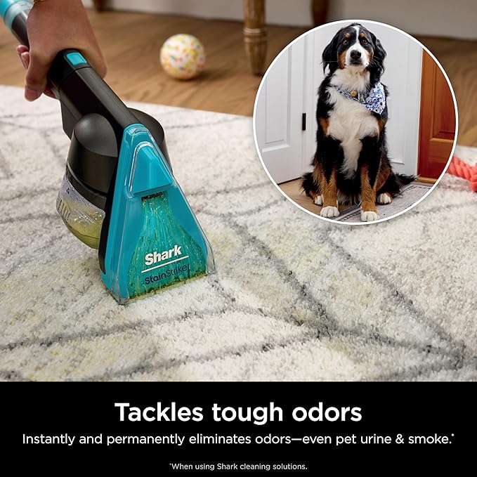 Shark CarpetXpert HairPro with StainStriker, Upright Carpet, Area Rug & - Image 5
