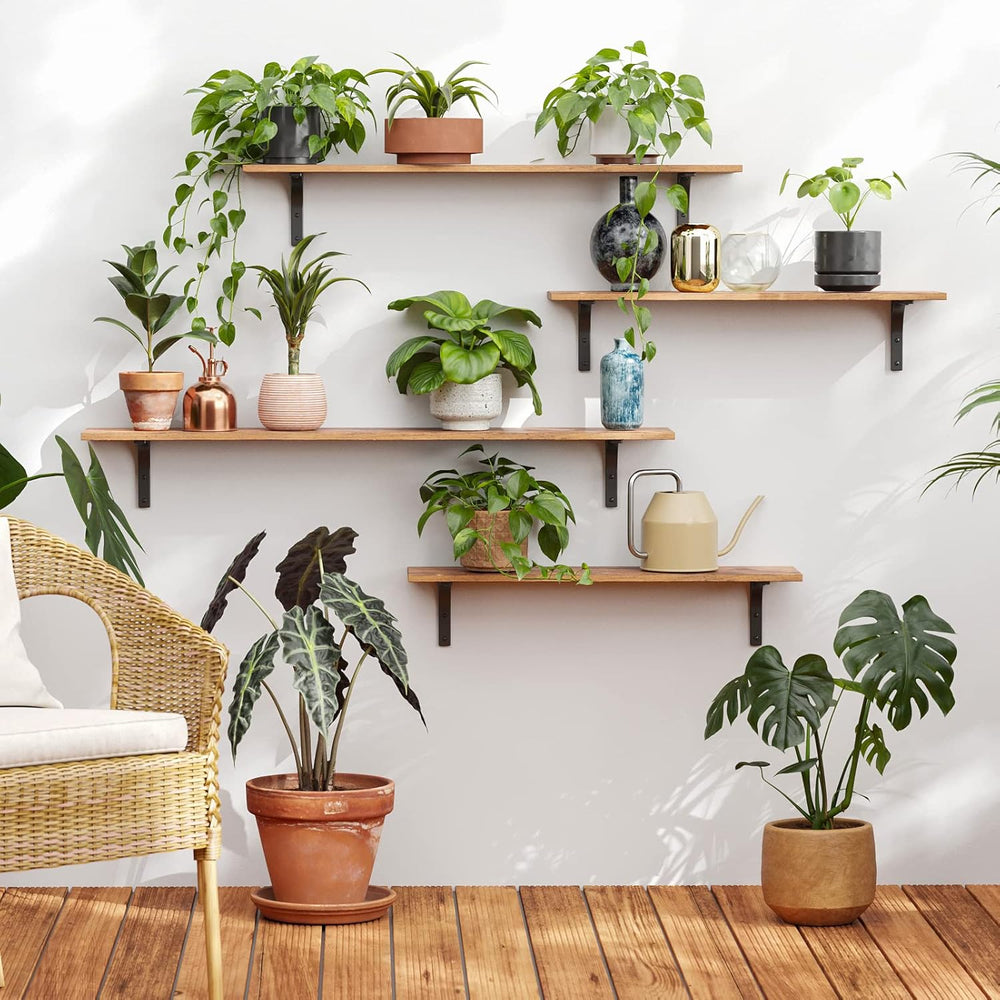 DINZI LVJ Long Wall Shelves, 39.4Inch Wooden Wall Mounted Shelves, Set of 2