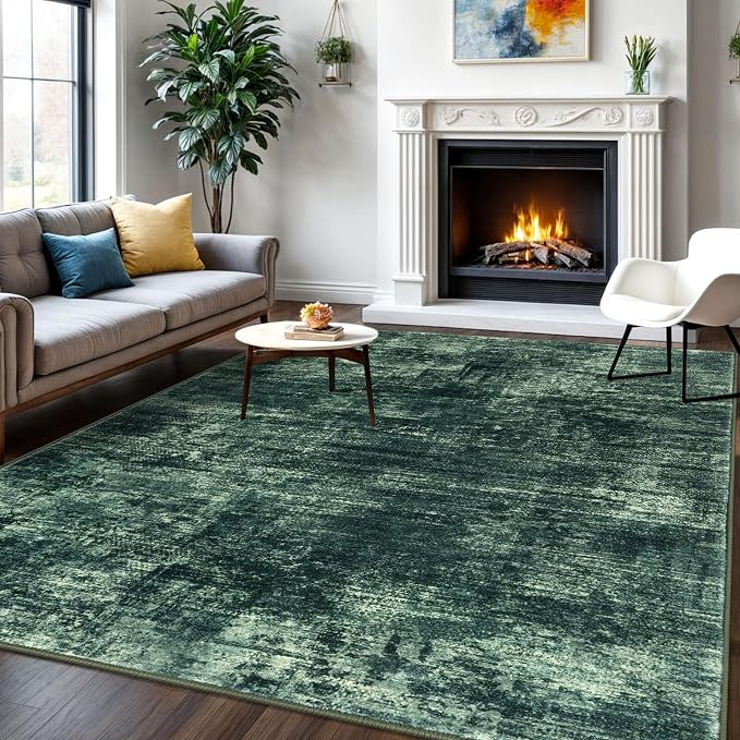 IOHOUZE Abstract Area Rugs 6x9 Ft Washable Rugs by iOhouze