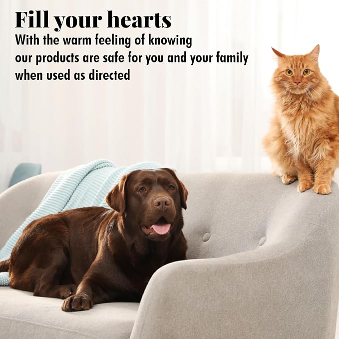 Citrus Magic Pet Solid Air Freshener, Pet Odor Eliminator - Image 7