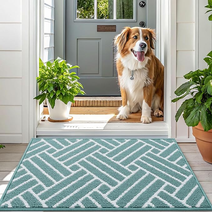 OLANLY Indoor Door Mat, 36x24 Inch, Dirt Resistant and Absorbent, Non-Slip - Image 6