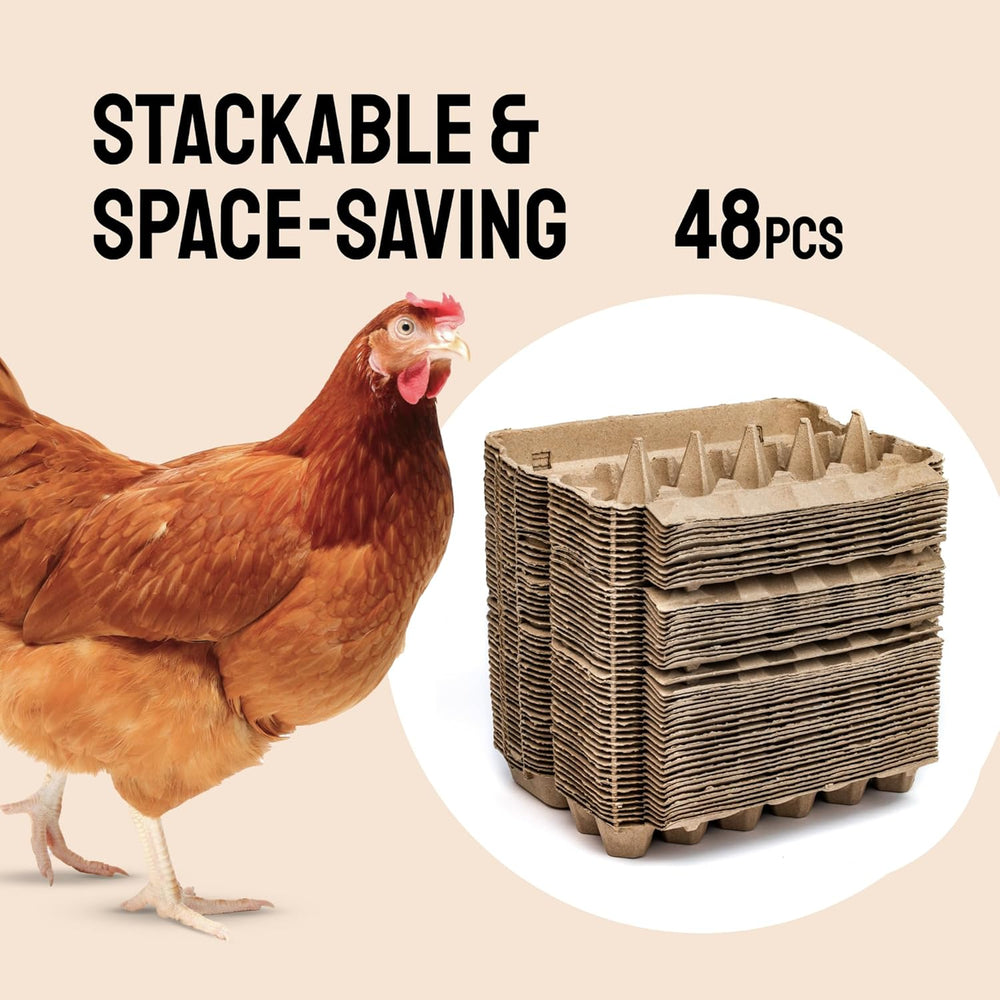 Hatortempt 48pc Egg Cartons Cheap Bulk 12 Count, Reusable Dozen Egg Crates