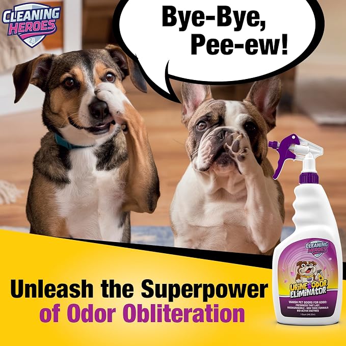 Pet Carpet Cleaner & Urine Odor Eliminator - Image 7