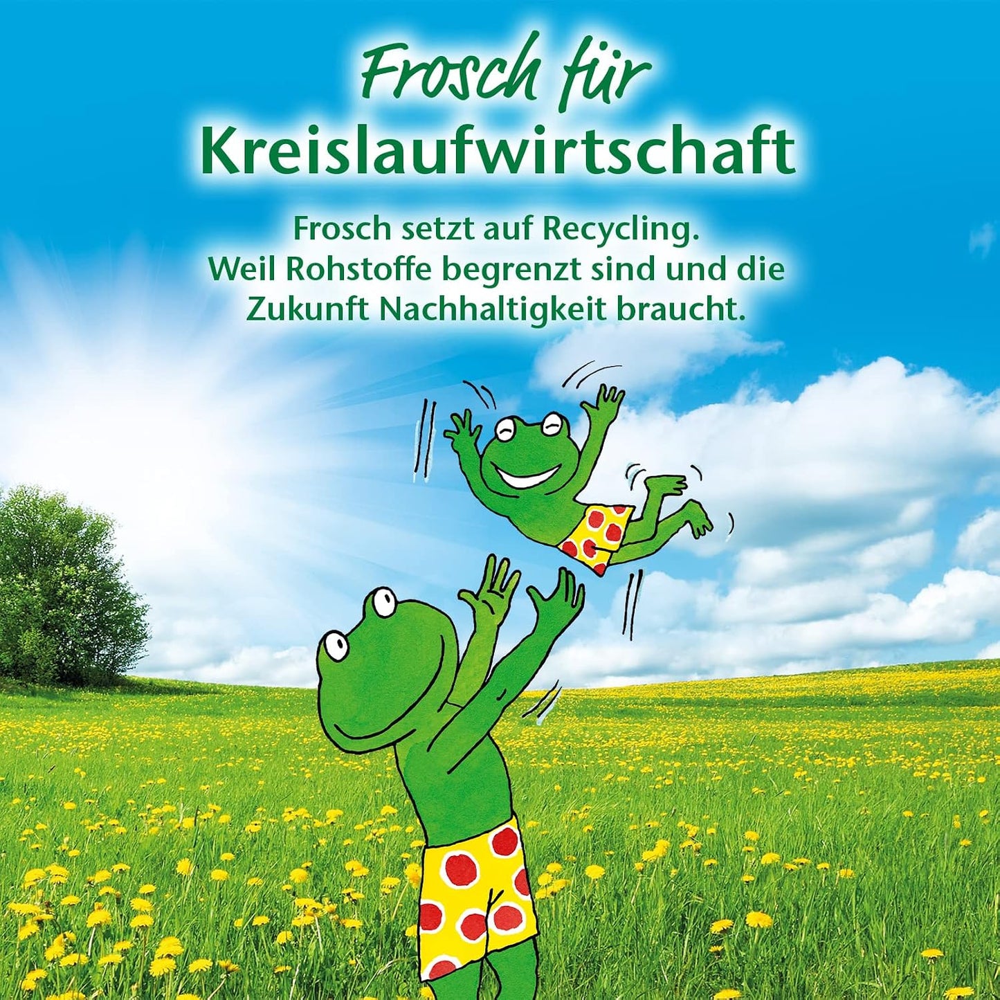 Frosch Lemon Toilet Cleaner, Yellow Lemon (Cleaner), Fresh, 750 g
