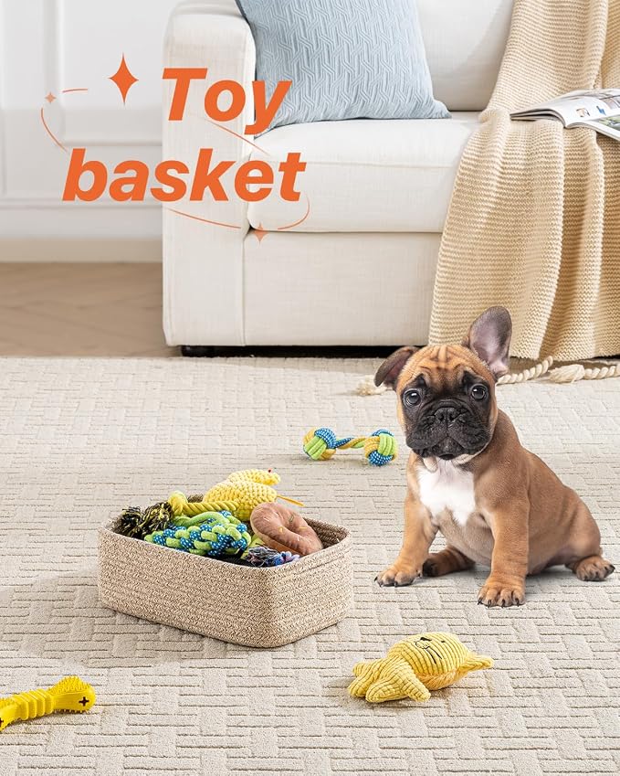 Small Woven Basket, Storage Basket - Image 5