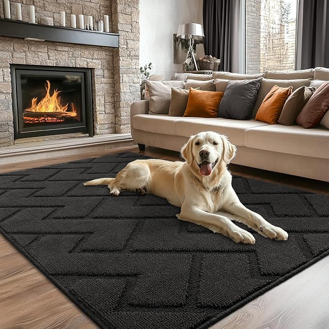 hicorfe Indoor Doormat, Front Back Door Mat Rubber Backing Non Slip Door Mats by Hicorfe
