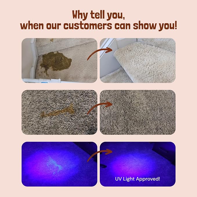 Sunny & Honey Pet Stain Remover & Enzyme Cleaner - Image 2