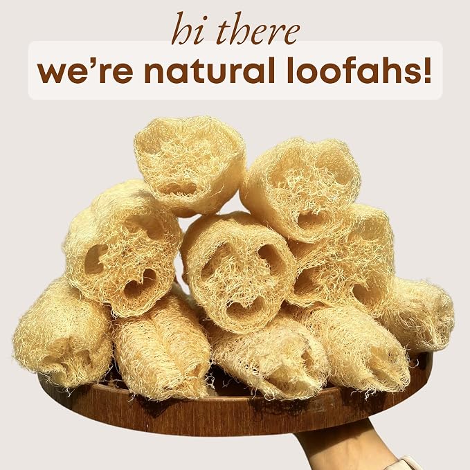 Natural Loofah Dish Sponge - Image 2