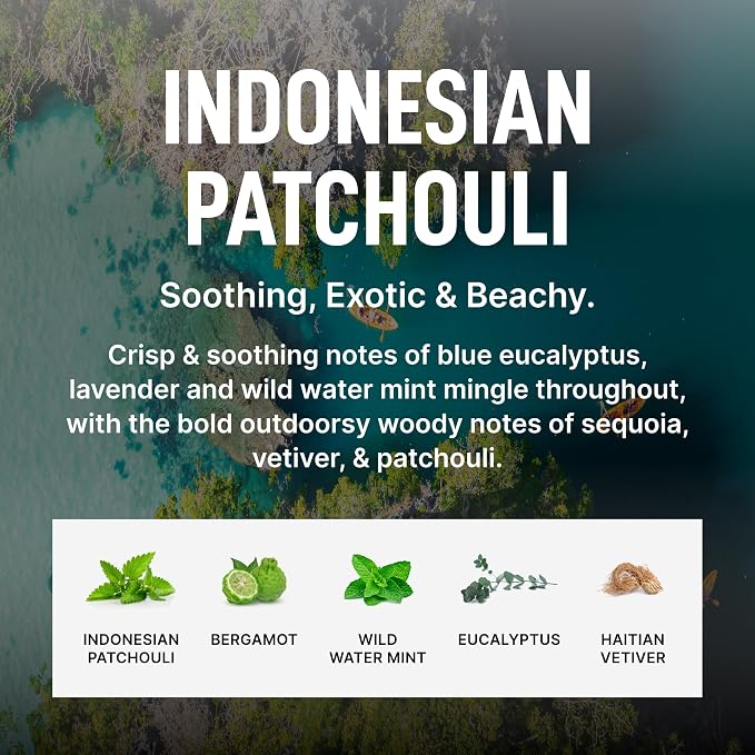 Laundry Sauce Fabric Refresher Spray Indonesian Patchouli, Odor-Fighting Fabric - Image 4