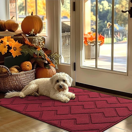 hicorfe Indoor Door Mat, Non Slip Door Mats, Absorbent Resist Dirt Entrance by Hicorfe