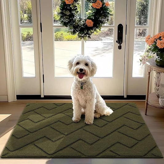 hicorfe Front Door Mat Outside Entrance, Stain and Fade Resistant, Non Slip by Hicorfe