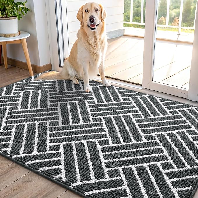 OLANLY Indoor Door Mat, 48x32 Inch, Dirt Resistant and Absorbent, Non-Slip by OLANLY