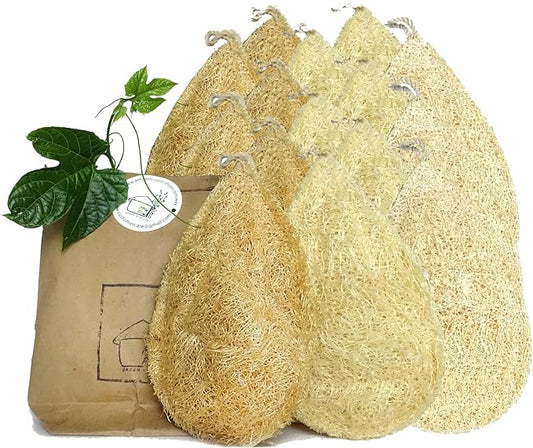 Natural Loofah Dish Sponge by MiwPiw