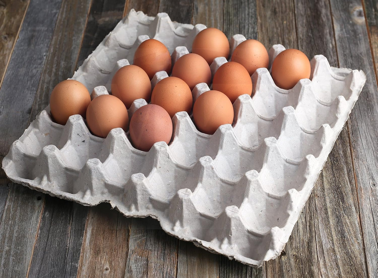 MT Products Egg Crates/Cartons Bulk Holds 30 Eggs - Pulp Fiber Material for Chicken Farm - Case of 140