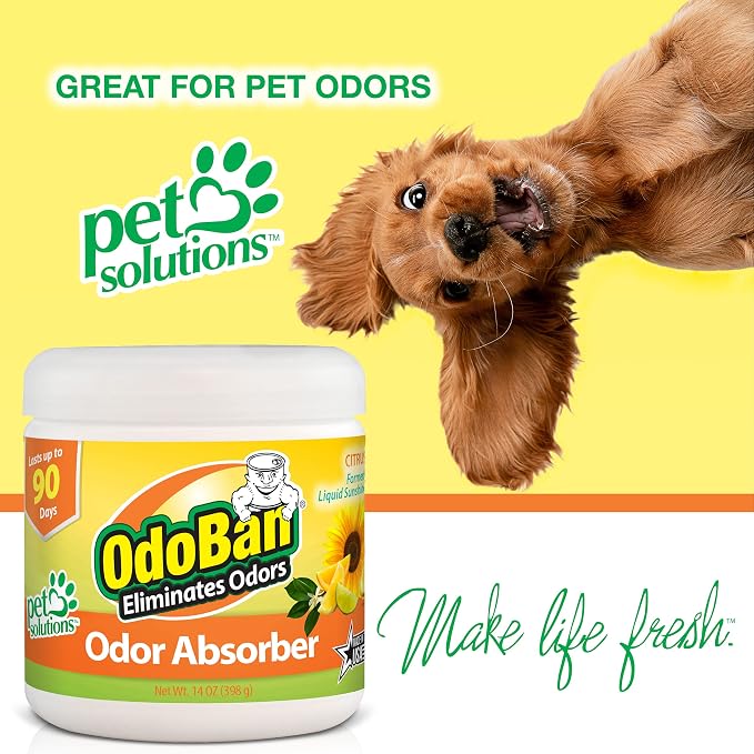 OdoBan Solid Odor Absorber Eliminator - Image 3
