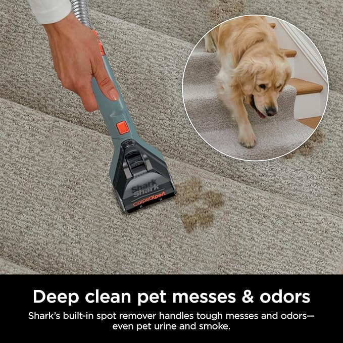 Shark CarpetXpert Upright Carpet, Area Rug & Upholstery Cleaner, Built-In Spot - Image 5