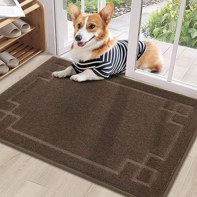 BEQHAUSE Door Mat 24" x 36", Non-Slip Door Mats Indoor Entryway Rugs Washable by BEQHAUSE