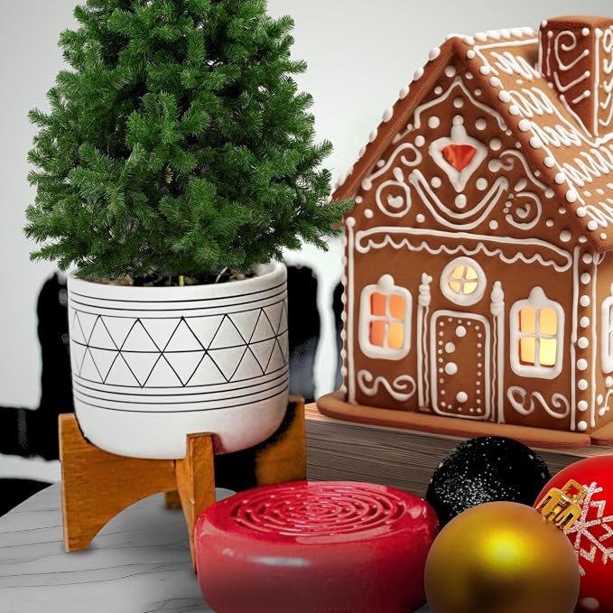 Citrus Magic Holiday Odor Absorbing Solid Air Freshener, Holiday Bakeshop - Image 6