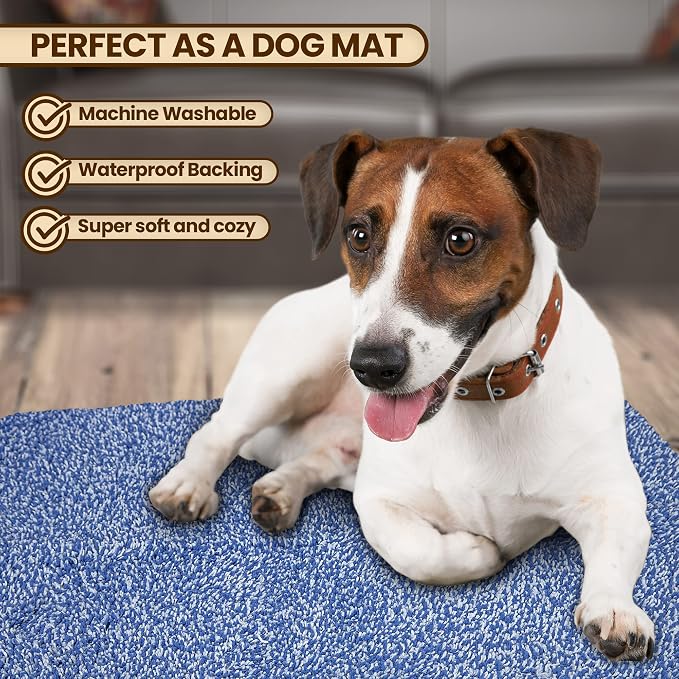Premium Microfiber Indoor Door Mat – 20"x30" Washable Entry Mat, Waterproof - Image 2