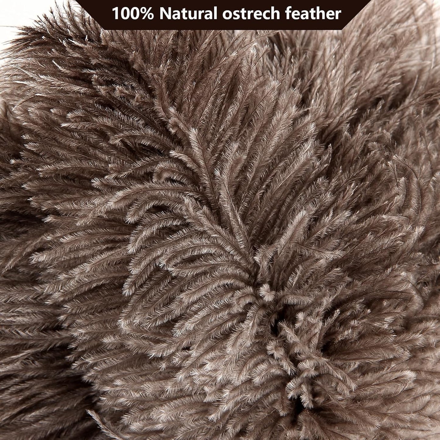 2pcs Ostrich Feather Dusters Natural Feathers Duster with Wooden Handle Natural Ostrich Feathers for Home Cleaning and Office Finishing Duster(2pcs，Length14”