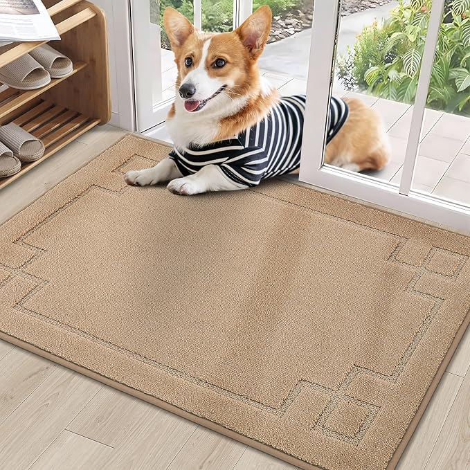 BEQHAUSE Door Mat 24" x 36", Non-Slip Door Mats Indoor Entryway Rugs Washable by BEQHAUSE
