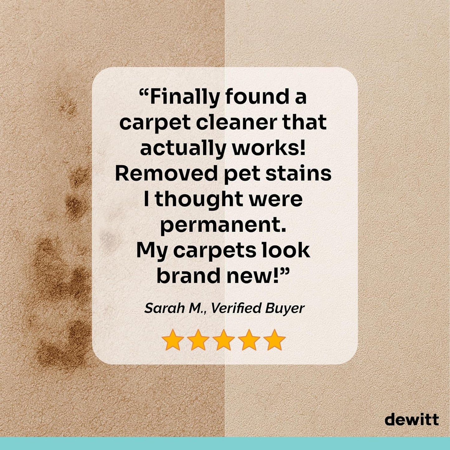 DeWitt Spot Genie Pro Portable Carpet Cleaner Machine | Upholstery Cleaner, Lightweight 7.7lb, Pet Stain & Odor Remover with 4 Cleaning Tools