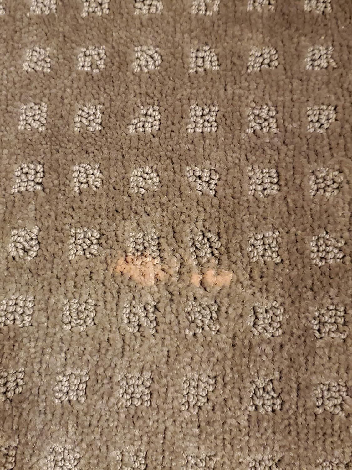 Bleachstain® Precision Carpet Spot Dye Kit | Bleach Stain Repair Kit | for Spots and Drips Smaller Than Pea Size | for All Medium Shades and Colors of Nylon and Wool Carpeting..