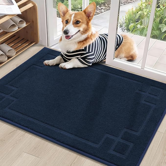 BEQHAUSE Door Mat 24" x 36", Non-Slip Door Mats Indoor Entryway Rugs Washable by BEQHAUSE