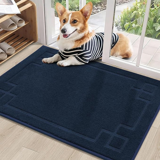 BEQHAUSE Door Mat 24" x 36", Non-Slip Door Mats Indoor Entryway Rugs Washable by BEQHAUSE