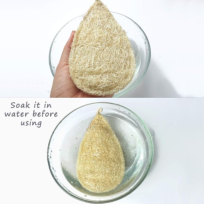 Natural Loofah Dish Sponge Pack 3 Vegetable Scrubber - Image 5
