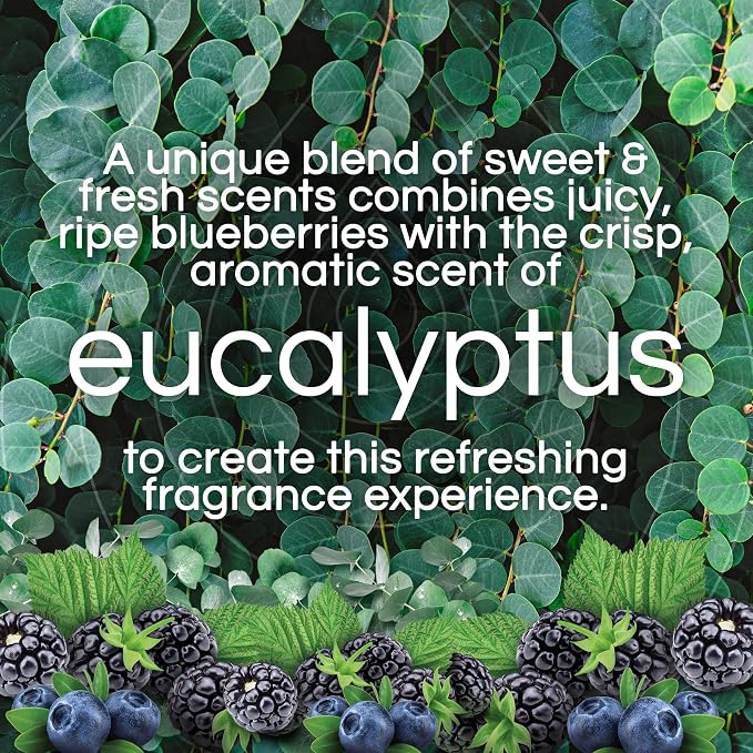 Air Wick Plug In Scented Oil Refills, Eucalyptus + Berries, Air Fresheners - Image 3