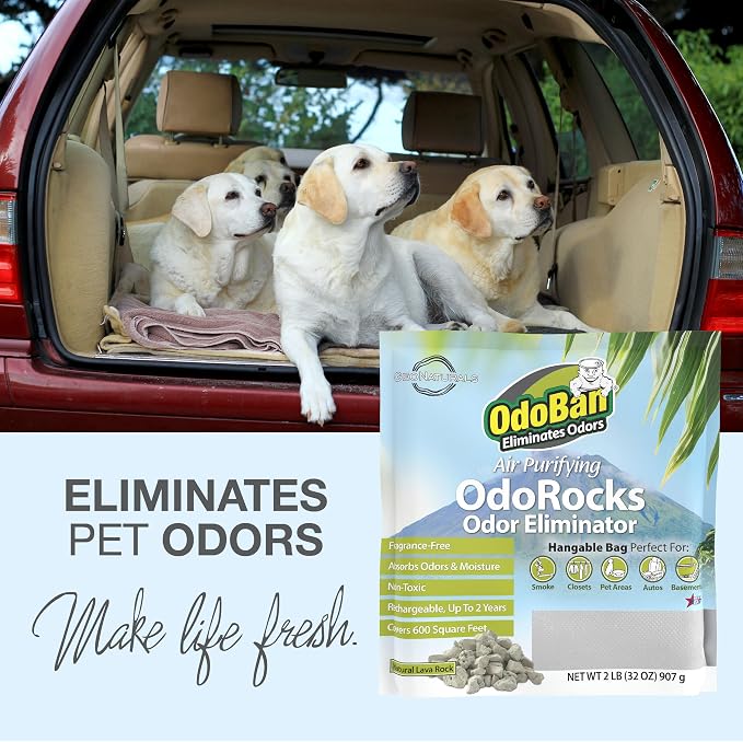 OdoBan Air Purifying OdoRocks Natural Odor Eliminator Made from Natural - Image 5