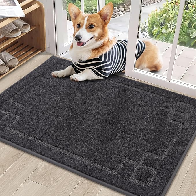 BEQHAUSE Door Mat 24" x 36", Non-Slip Door Mats Indoor Entryway Rugs Washable by BEQHAUSE