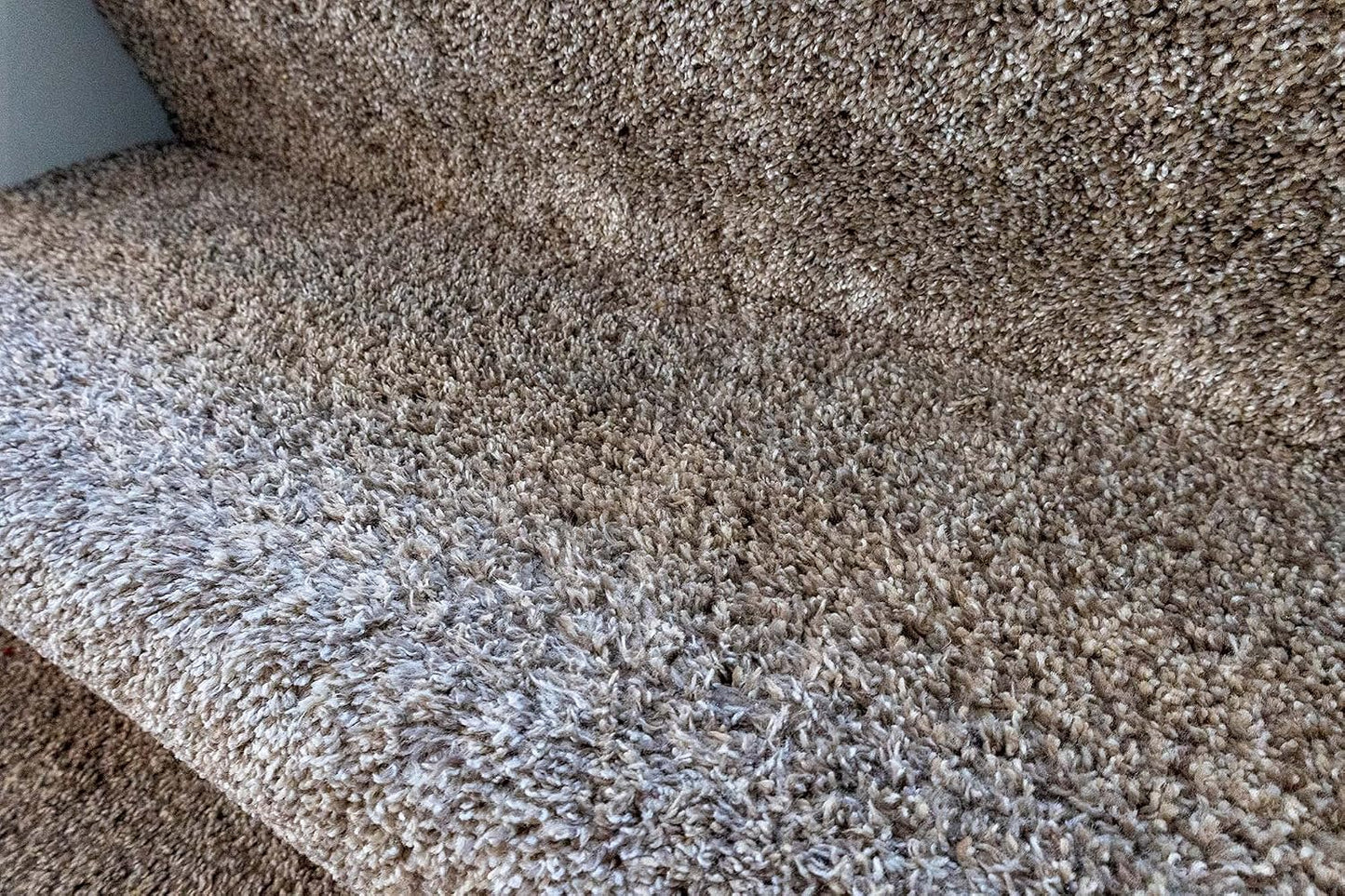 The Carpet Corrector- Rejuvenate matted Down Carpet! Great for Steps, hallways and high Traffic Areas