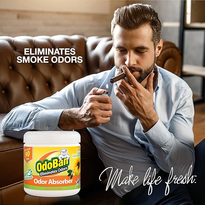 OdoBan Solid Odor Absorber Eliminator - Image 4