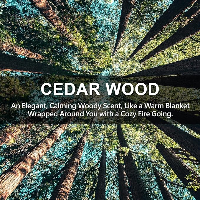 ROSE COTTAGE Large 12 Packs Cedar Wood Hanging Closet Deodorizer Air Freshener - Image 2