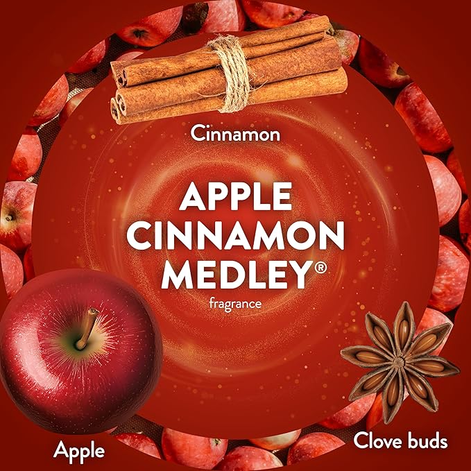 Air Wick Scented Oils 0+10 Apple Cinnamon Medley​ - Image 4