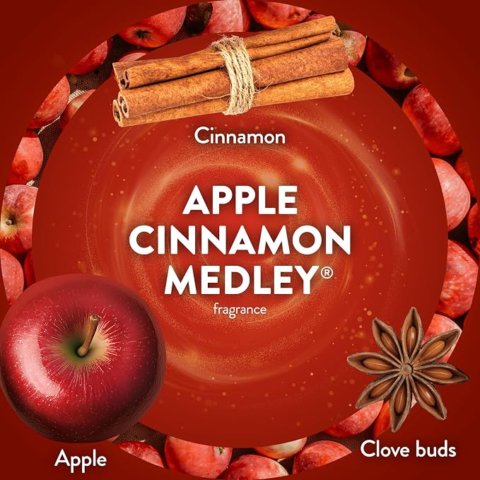 Air Wick Plug in Scented Oil Refill, Apple Cinnamon Medley, Fall Scent - Image 4