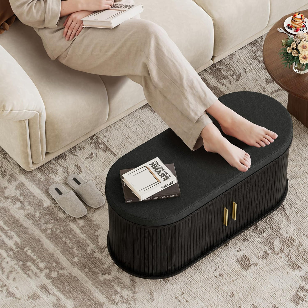 DHH 2-Tier Storage Bench,Wide Shoe Bench with Thickened Padded Seat Cushion, ...