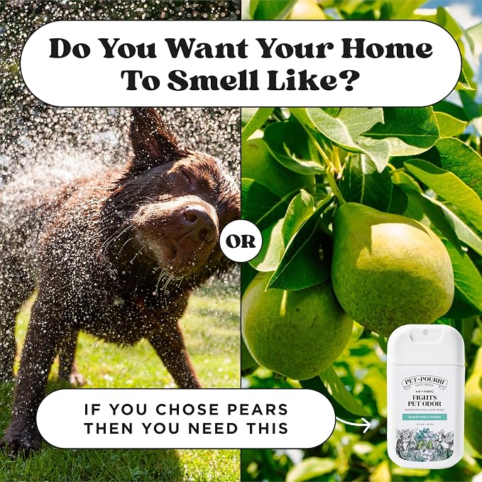 Poo-Pourri Pawsitively Fresh Pocket Deodorizer Spray – Dog & Cat Odor Remover – - Image 10