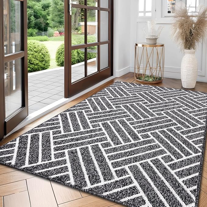 OLANLY Large Indoor Door Mat, 71x47 Inch, Dirt Resistant and Absorbent by OLANLY