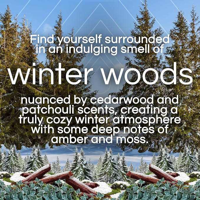 Air Wick Plug In Advanced Scented Oil, Winter Woods + Frosted Ivy, Air - Image 3