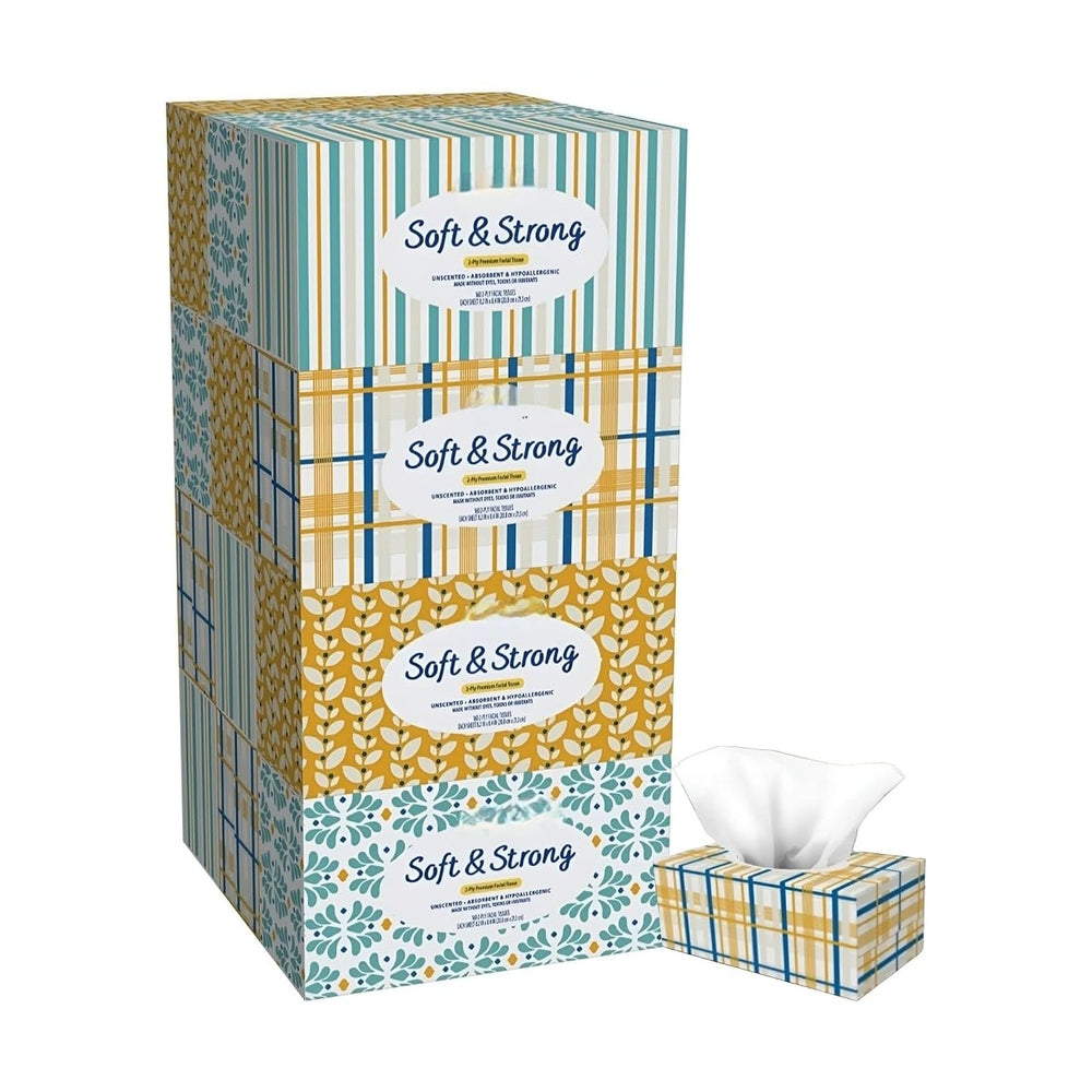 Mark's Soft & Strong 2-Ply Premium Facial Tissues 12 Flat Boxes, 160 ...